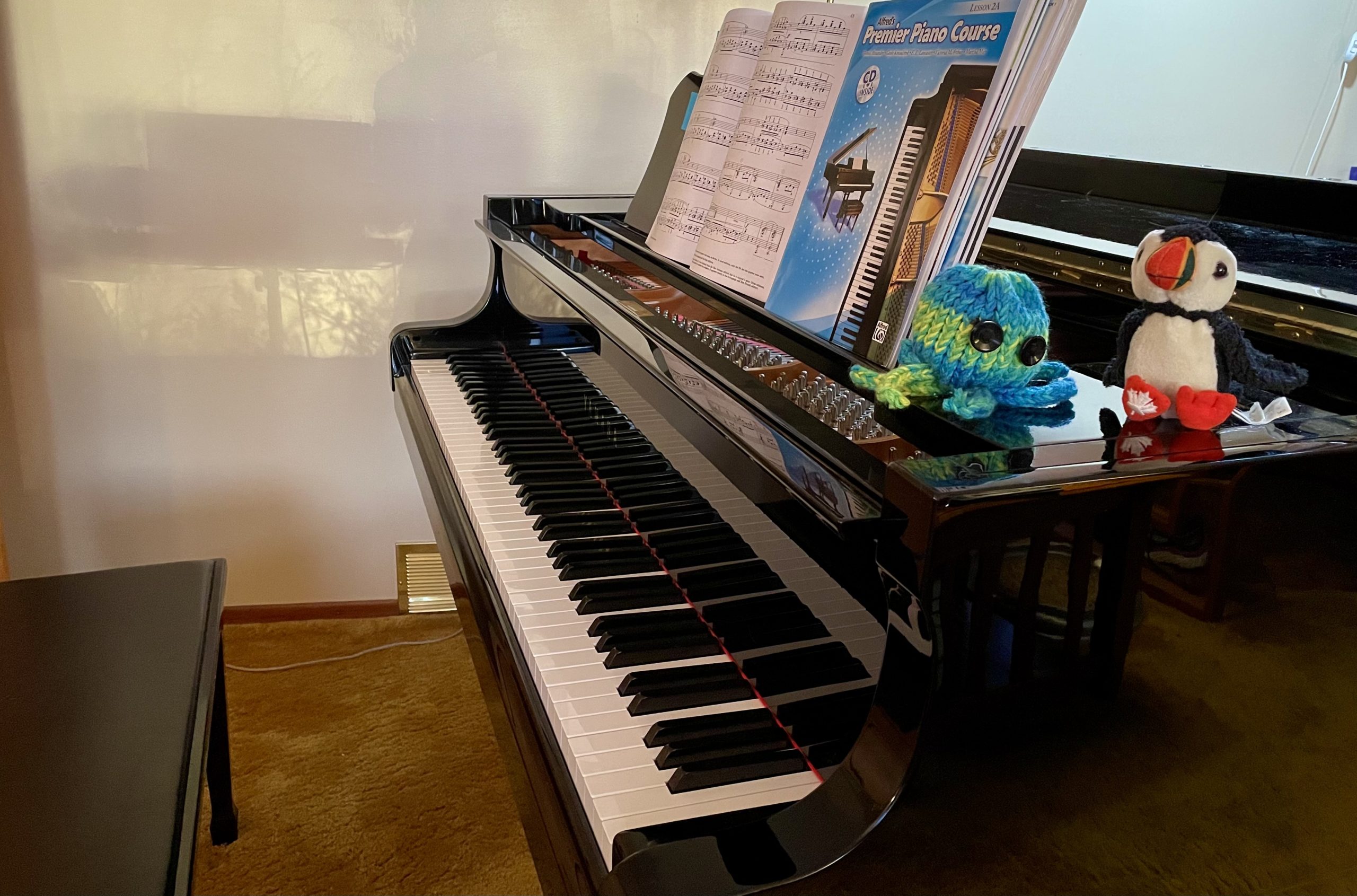 Alyssa's Music Studio & Piano lessons in Saskatoon & Online