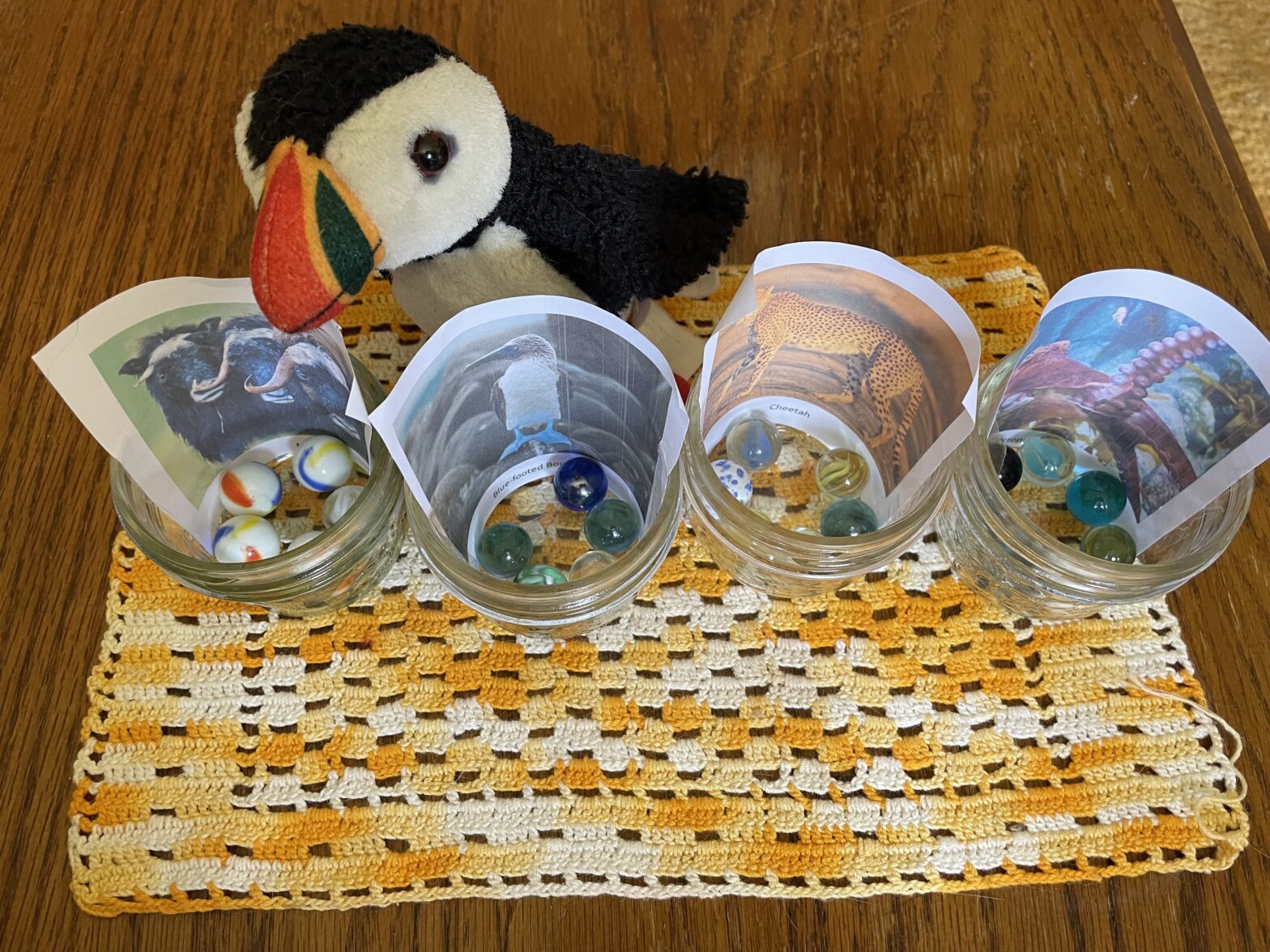 Puffy practicing challenge voting jars